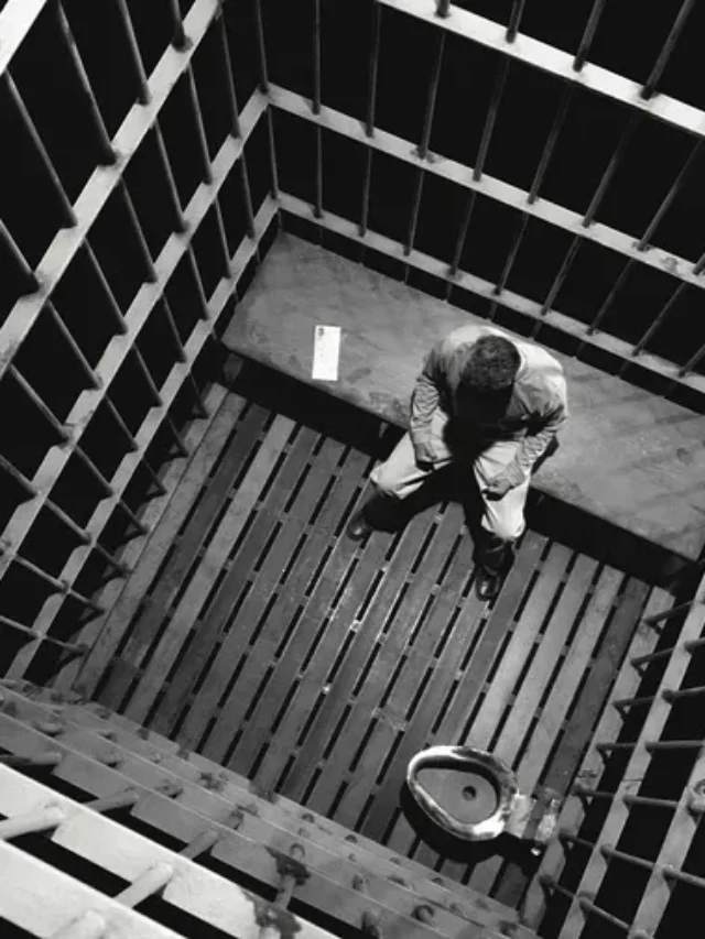 A história do encarceramento no Brasil: do suplício colonial ao encarceramento em massa